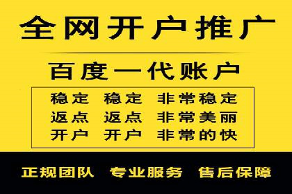 某品牌SEM广告投放的ROI提升案例